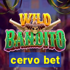 cervo bet